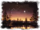 nature scene