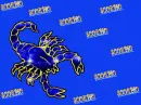 Blue Scorpio 
