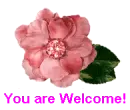 You are Welcome