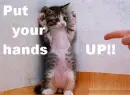 your under arrest!!