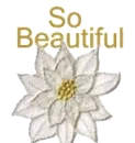 Beatiful