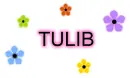 TULIB