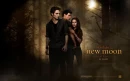 THE TWILIGHT SAGA