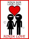 True Love Ninja