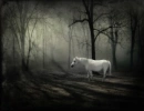 Unicorn lonley