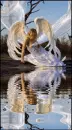 angel reflection looking
