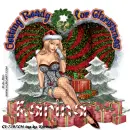 Getting ready for Christmas...Karina