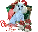Christmas Joy
