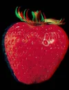 Strawberry Fields Forever