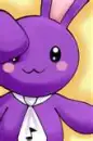 Purple Bunny