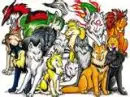 Wolves