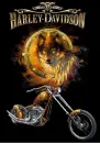 harley davidson