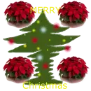 Merry