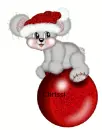 creddy