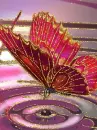 gold edged butterfly