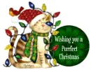 Purrfect Christmas