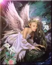flashing angel with lilies