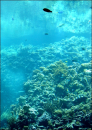 Underwater