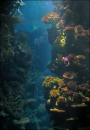 Underwater