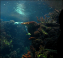 Underwater