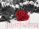 Winter --- Anaterium 
