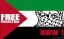 Free Palestine NOW!