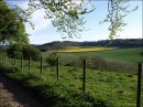 Fields