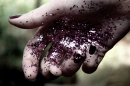 Glitter them up. ;D