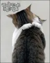 Sending you big hugs
