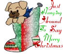 christmas - dog