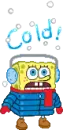 sponge bob