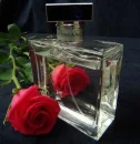 parfum,rose