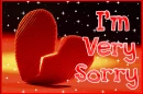 I am sorry