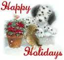 Happy Holidays