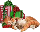 cute christmas kitty
