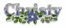 Christy-blue poinsettia