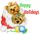 happy holidays