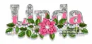 Linda-pink poinsettia