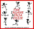 Insane Ninja