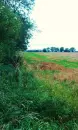 Field