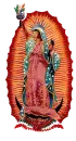 Â¡Guadalupe LibertadÂ¡Â¡Â¡