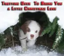 trotting over puppy