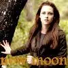 New Moon