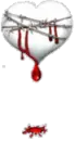 bleeding heart