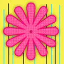 pink flower