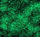 black-n-green