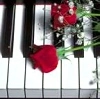 Rose/piano