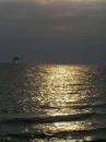 sea