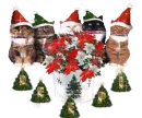 DEEPI CHRISTMAS KITTENS