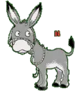 donkey